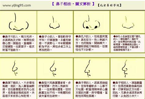 繼室鼻|面相學中的鼻子怎麼看